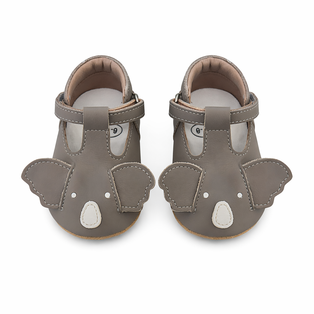 Koala shoes