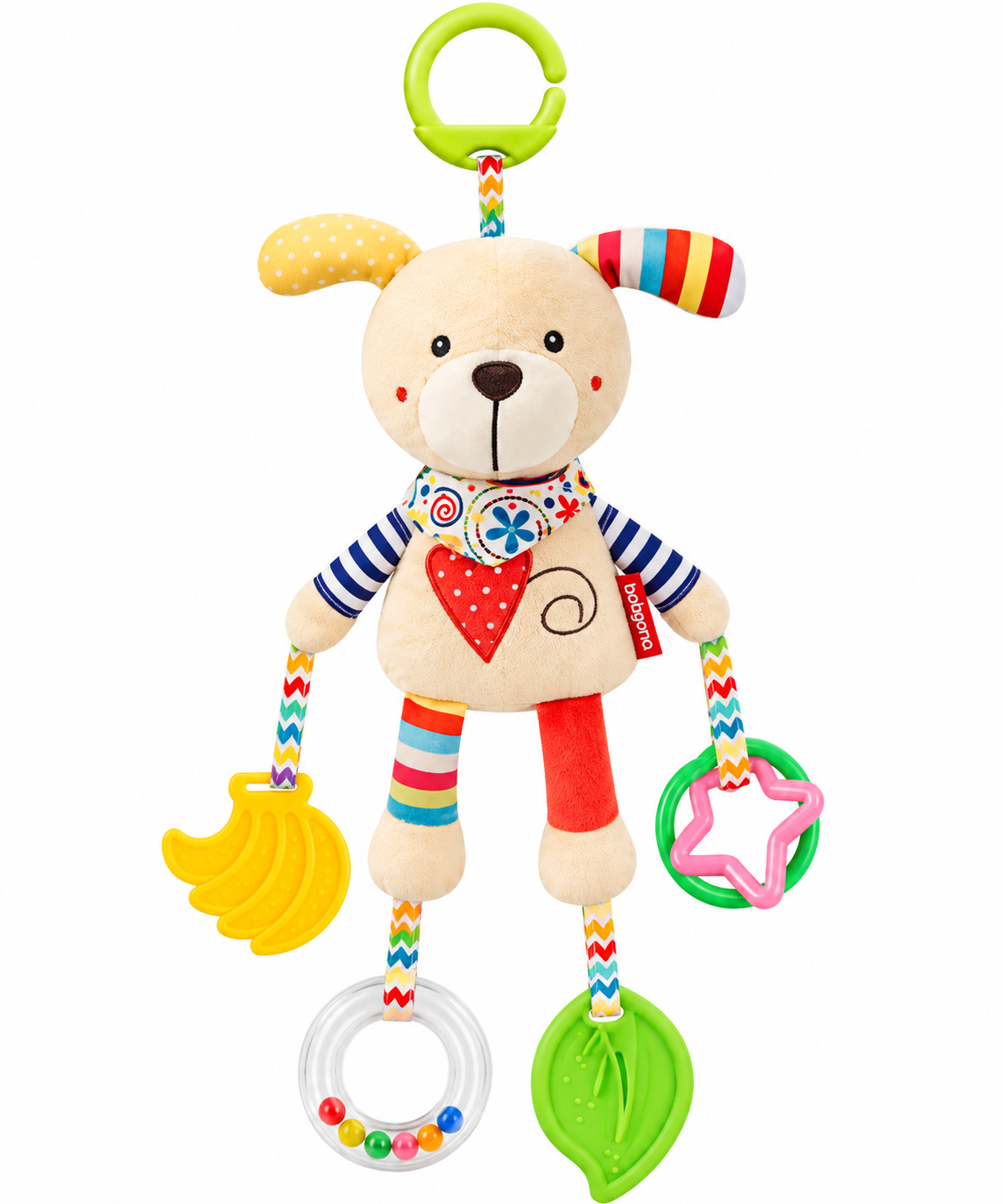 Teddy Dog