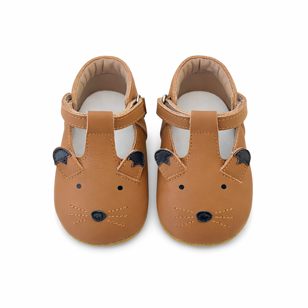 Dog shoes